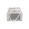 Multiozon 7 g/h – profesjonalny ozonator ZY-H170E